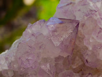 Natural Sunburst Amethyst Spirit Clusters x 3 From Boekenhouthoek, South Africa
