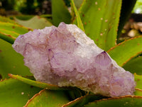 Natural Sunburst Amethyst Spirit Clusters x 3 From Boekenhouthoek, South Africa