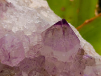 Natural Sunburst Amethyst Spirit Clusters x 3 From Boekenhouthoek, South Africa