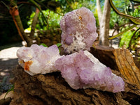 Natural Sunburst Amethyst Spirit Clusters x 3 From Boekenhouthoek, South Africa