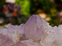 Natural Sunburst Amethyst Spirit Clusters x 3 From Boekenhouthoek, South Africa
