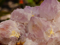 Natural Sunburst Amethyst Spirit Clusters x 3 From Boekenhouthoek, South Africa