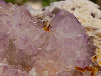 Natural Sunburst Amethyst Spirit Clusters x 3 From Boekenhouthoek, South Africa