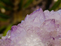 Natural Sunburst Amethyst Spirit Clusters x 3 From Boekenhouthoek, South Africa