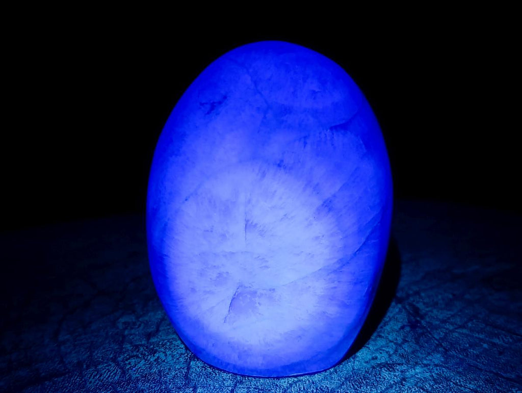 Polished Green Fluorite Standing Free Forms x 2 From Madagascar