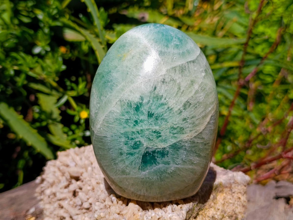 Polished Green Fluorite Standing Free Forms x 2 From Madagascar