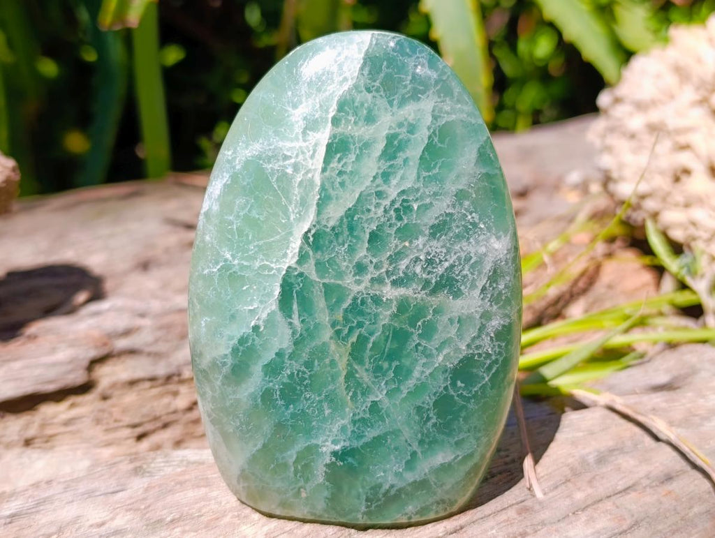 Polished Green Fluorite Standing Free Forms x 2 From Madagascar