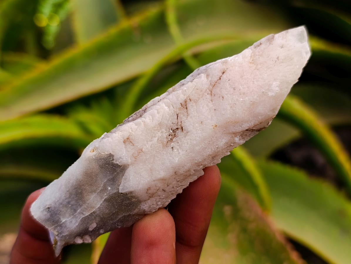 Natural Drusy Quartz Coated Spearhead Calcite Specimens x 12 From Albert's Mountain, Lesotho