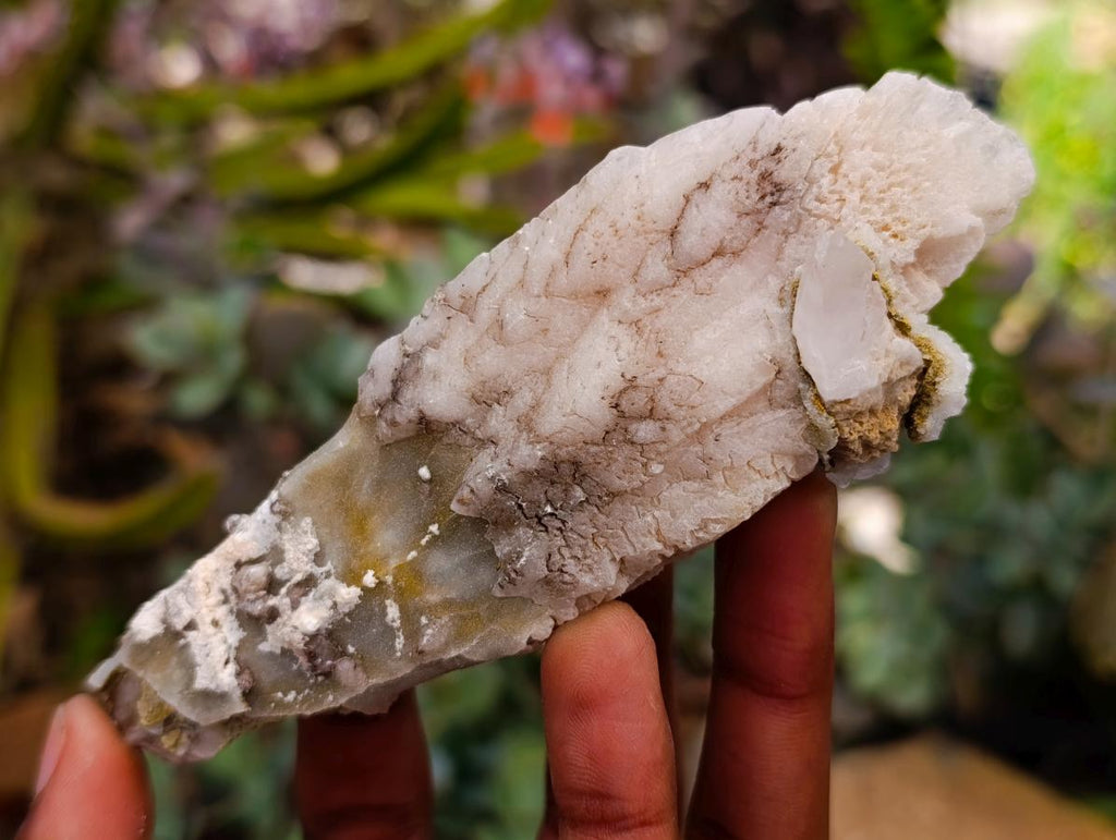 Natural Drusy Quartz Coated Spearhead Calcite Specimens x 12 From Albert's Mountain, Lesotho