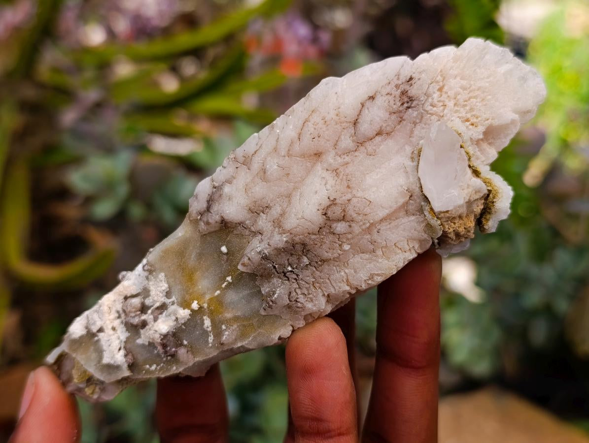 Natural Drusy Quartz Coated Spearhead Calcite Specimens x 12 From Albert's Mountain, Lesotho