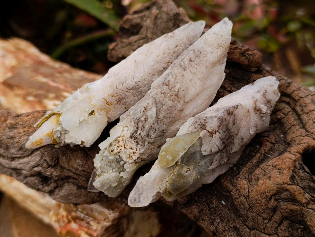 Natural Drusy Quartz Coated Spearhead Calcite Specimens x 12 From Albert's Mountain, Lesotho