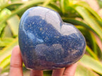 Polished Large Lazulite Hearts x 6 From Madagascar
