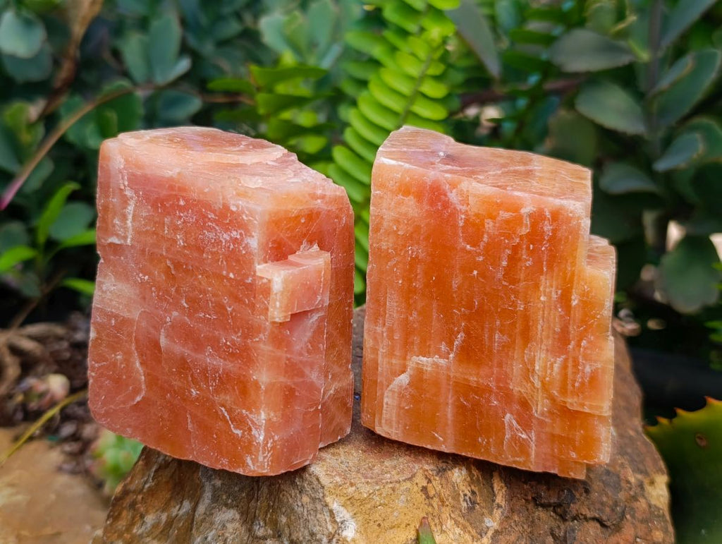 Natural Sunset Orange Calcite Specimens x 12 From Spitzkop, Namibia - Toprock Gemstones and Minerals 
