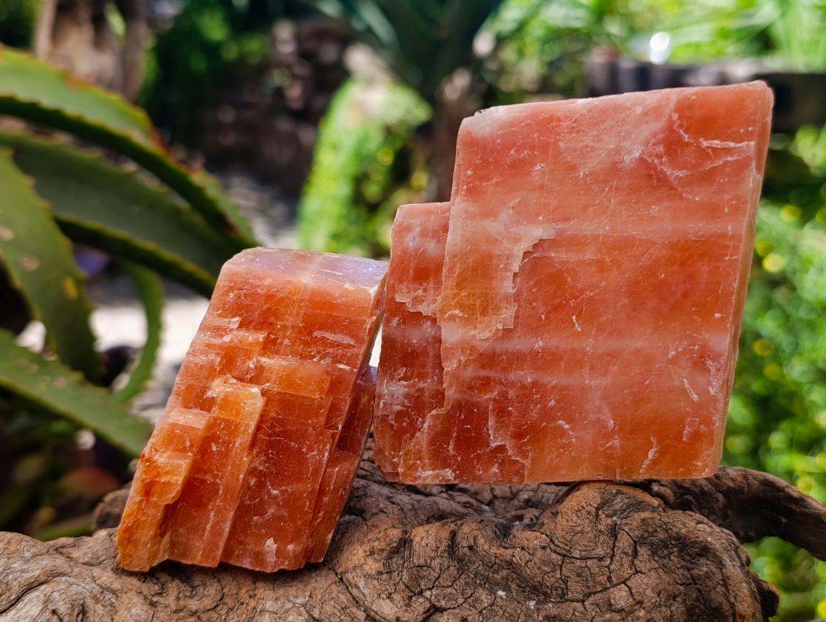 Natural Sunset Orange Calcite Specimens x 12 From Spitzkop, Namibia