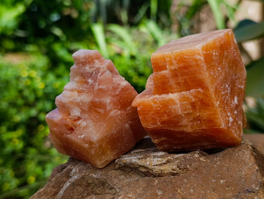 Natural Sunset Orange Calcite Specimens x 12 From Spitzkop, Namibia - Toprock Gemstones and Minerals 