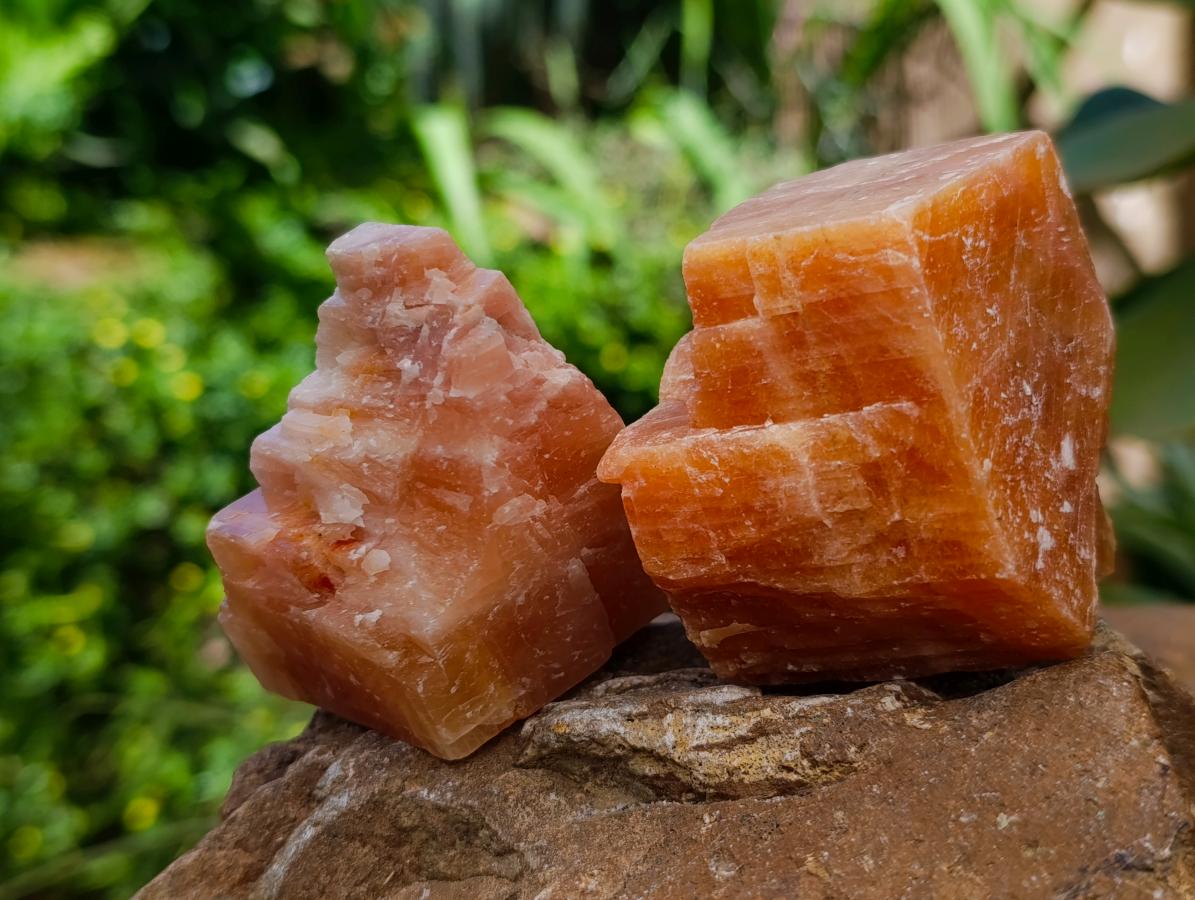 Natural Sunset Orange Calcite Specimens x 12 From Spitzkop, Namibia - Toprock Gemstones and Minerals 