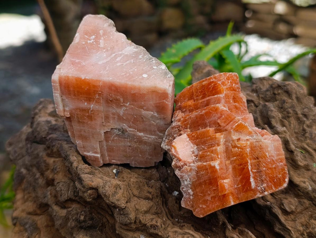 Natural Sunset Orange Calcite Specimens x 12 From Spitzkop, Namibia - Toprock Gemstones and Minerals 