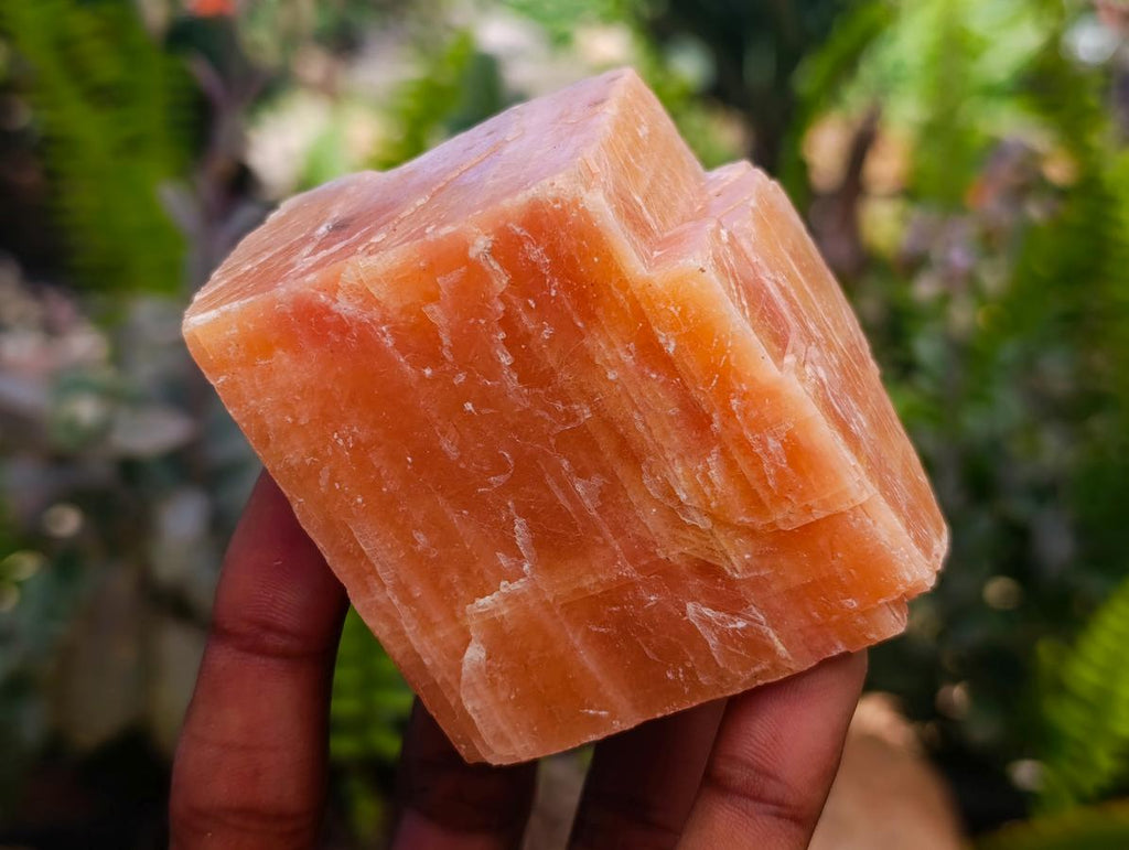 Natural Sunset Orange Calcite Specimens x 12 From Spitzkop, Namibia - Toprock Gemstones and Minerals 