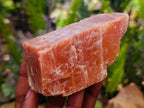 Natural Sunset Orange Calcite Specimens x 12 From Spitzkop, Namibia - Toprock Gemstones and Minerals 