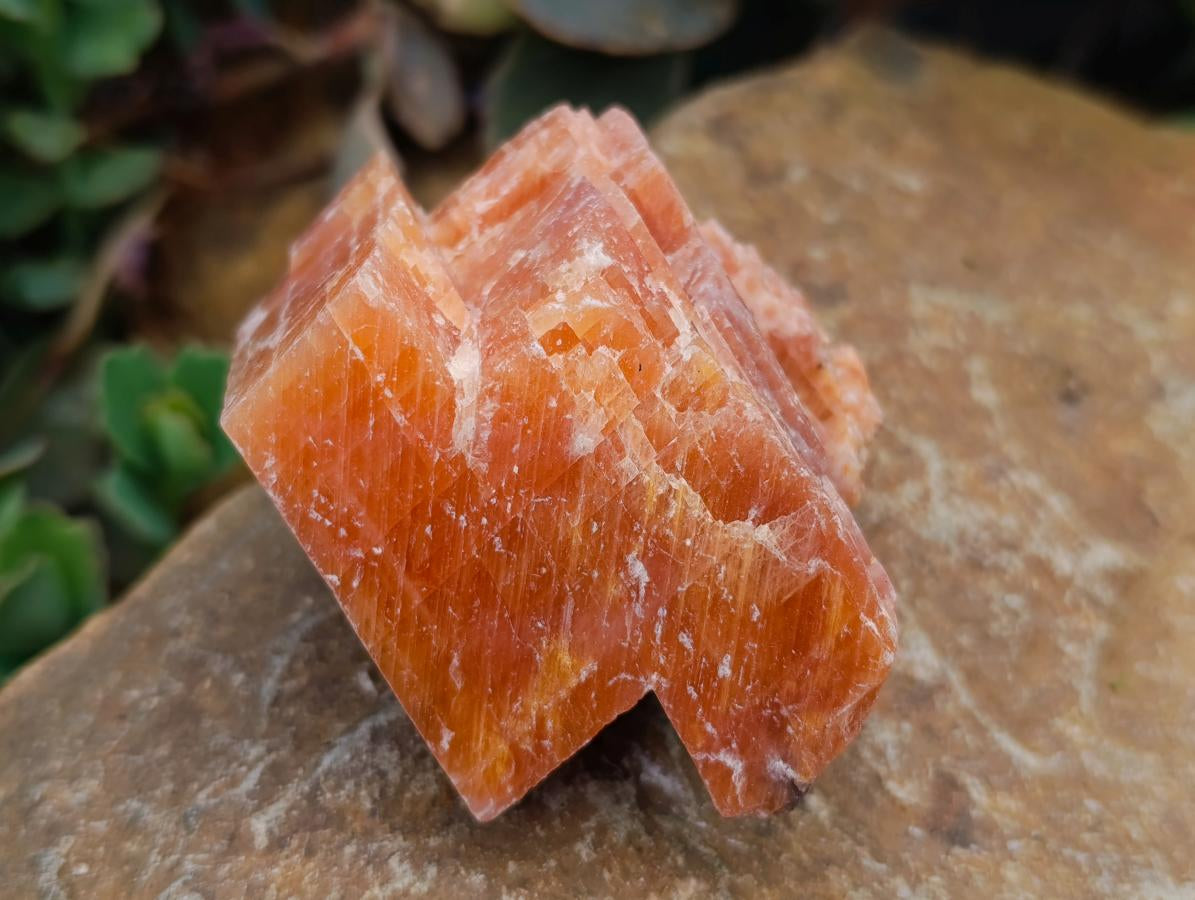 Natural Sunset Orange Calcite Specimens x 12 From Spitzkop, Namibia - Toprock Gemstones and Minerals 