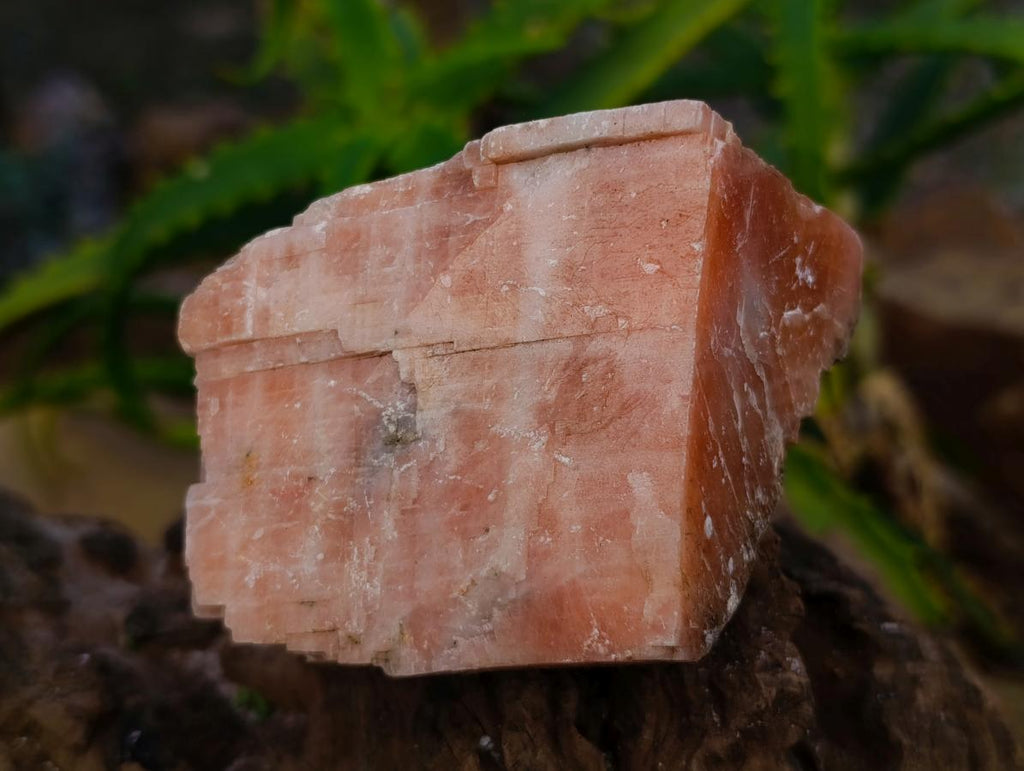 Natural Sunset Orange Calcite Specimens x 12 From Spitzkop, Namibia - Toprock Gemstones and Minerals 