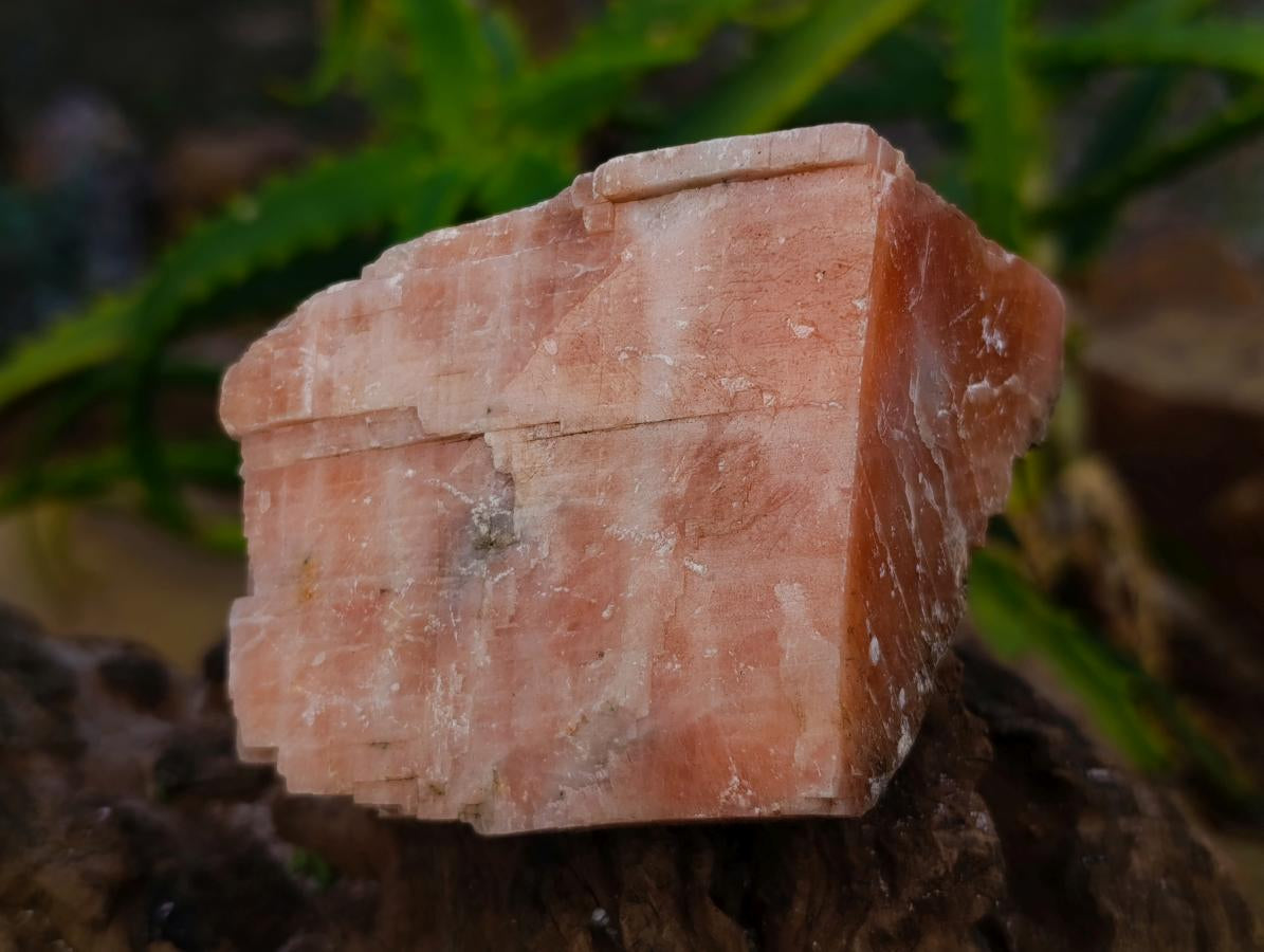 Natural Sunset Orange Calcite Specimens x 12 From Spitzkop, Namibia - Toprock Gemstones and Minerals 