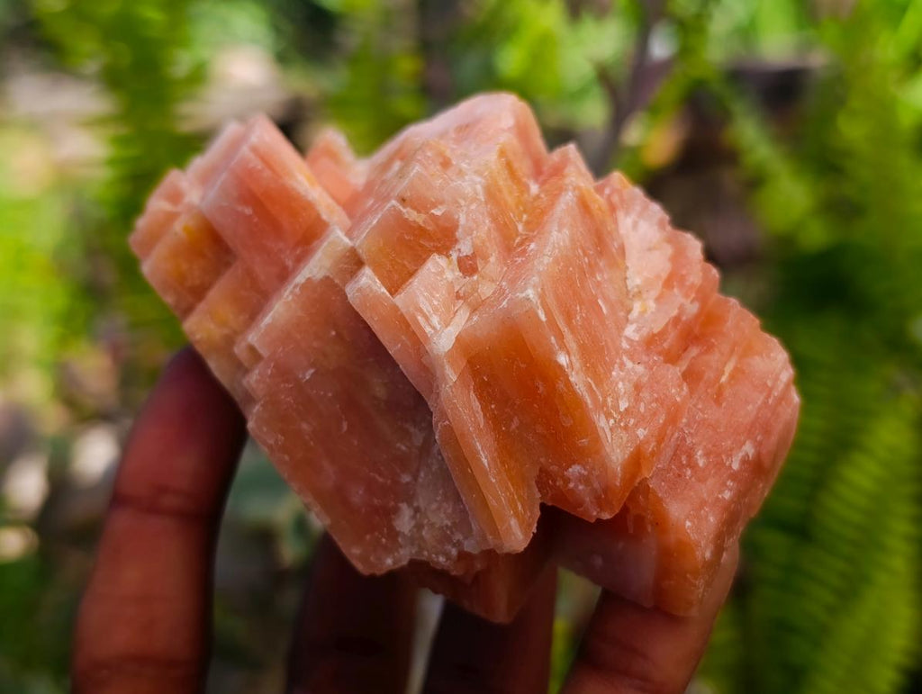 Natural Sunset Orange Calcite Specimens x 12 From Spitzkop, Namibia - Toprock Gemstones and Minerals 