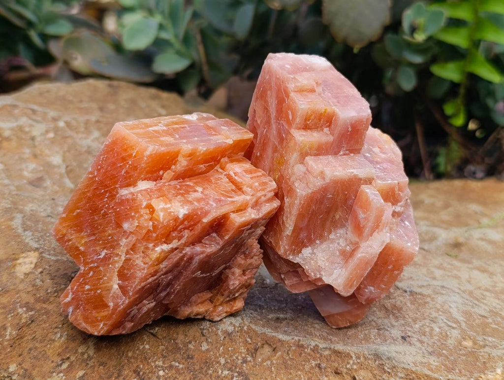 Natural Sunset Orange Calcite Specimens x 12 From Spitzkop, Namibia - Toprock Gemstones and Minerals 