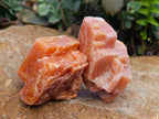 Natural Sunset Orange Calcite Specimens x 12 From Spitzkop, Namibia - Toprock Gemstones and Minerals 