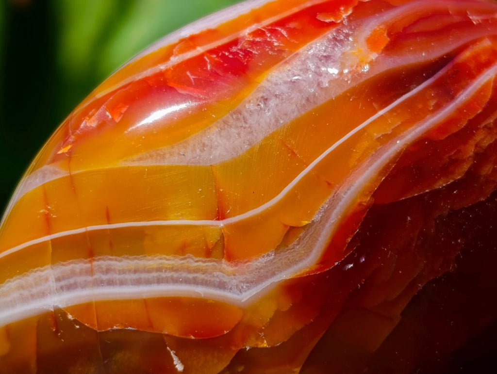 Polished Carnelian Agate Gemstone Galets x 12 From Madagascar