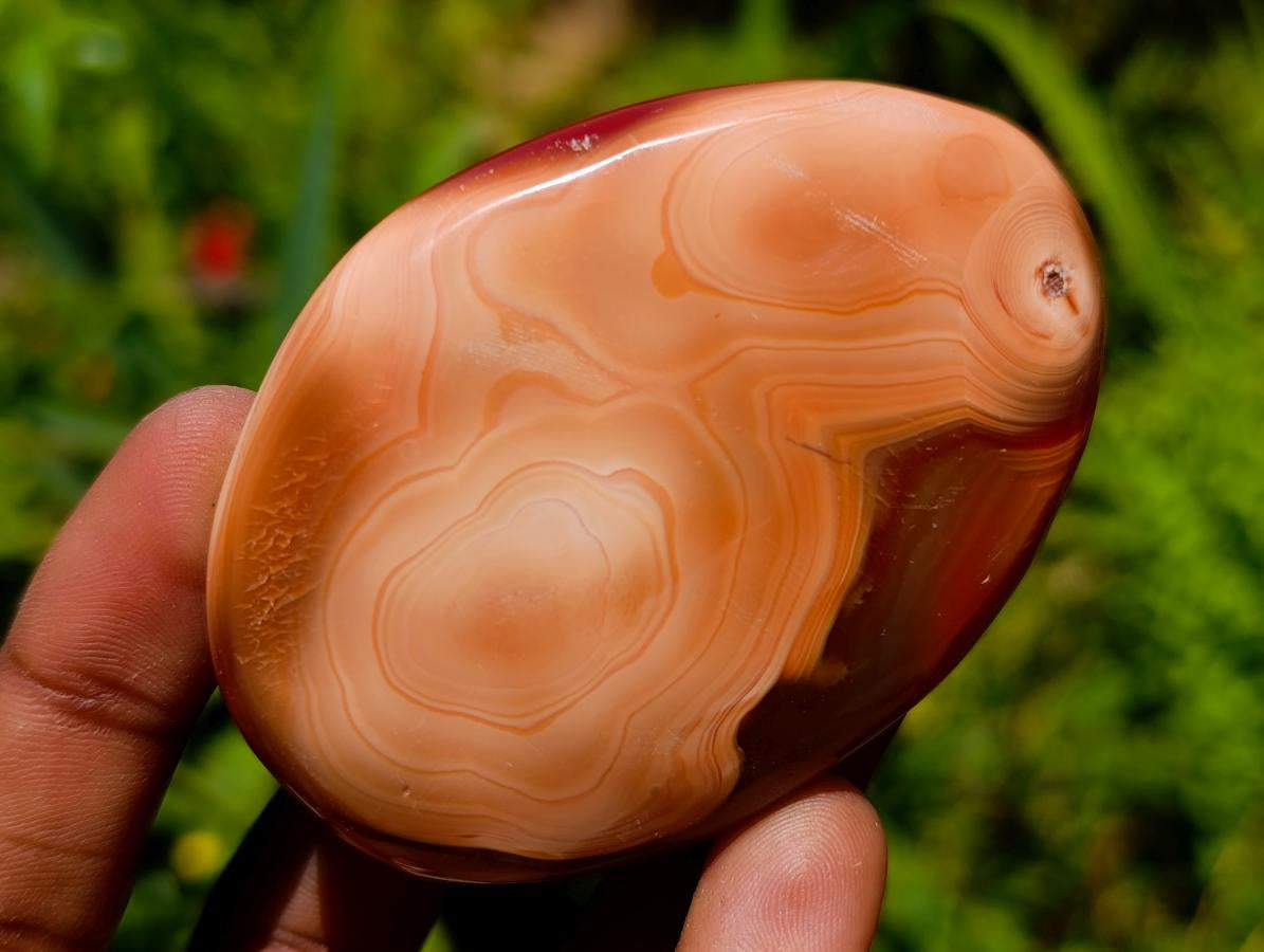 Polished Carnelian Agate Gemstone Galets x 12 From Madagascar