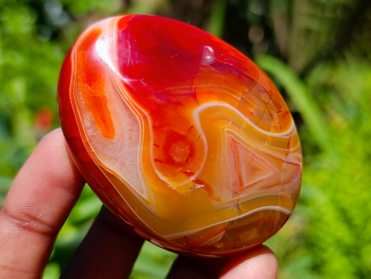Polished Carnelian Agate Gemstone Galets x 12 From Madagascar