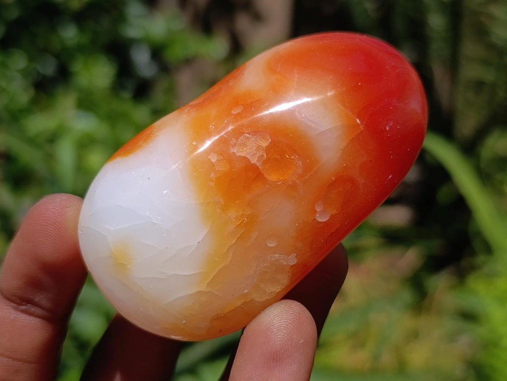 Polished Carnelian Agate Gemstone Galets x 12 From Madagascar
