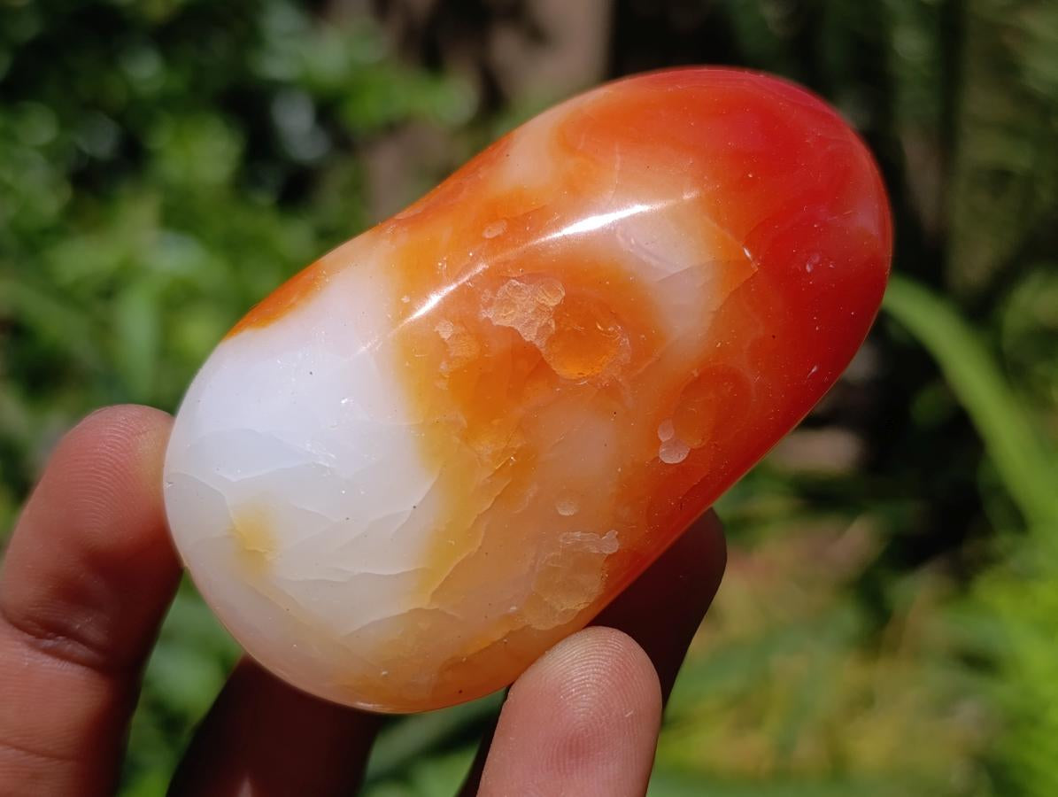 Polished Carnelian Agate Gemstone Galets x 12 From Madagascar