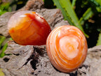 Polished Carnelian Agate Gemstone Galets x 12 From Madagascar