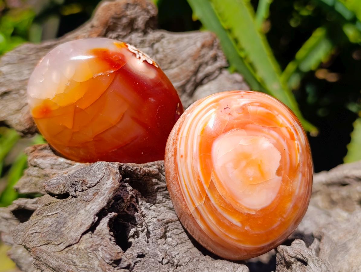 Polished Carnelian Agate Gemstone Galets x 12 From Madagascar