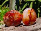 Polished Carnelian Agate Gemstone Galets x 12 From Madagascar