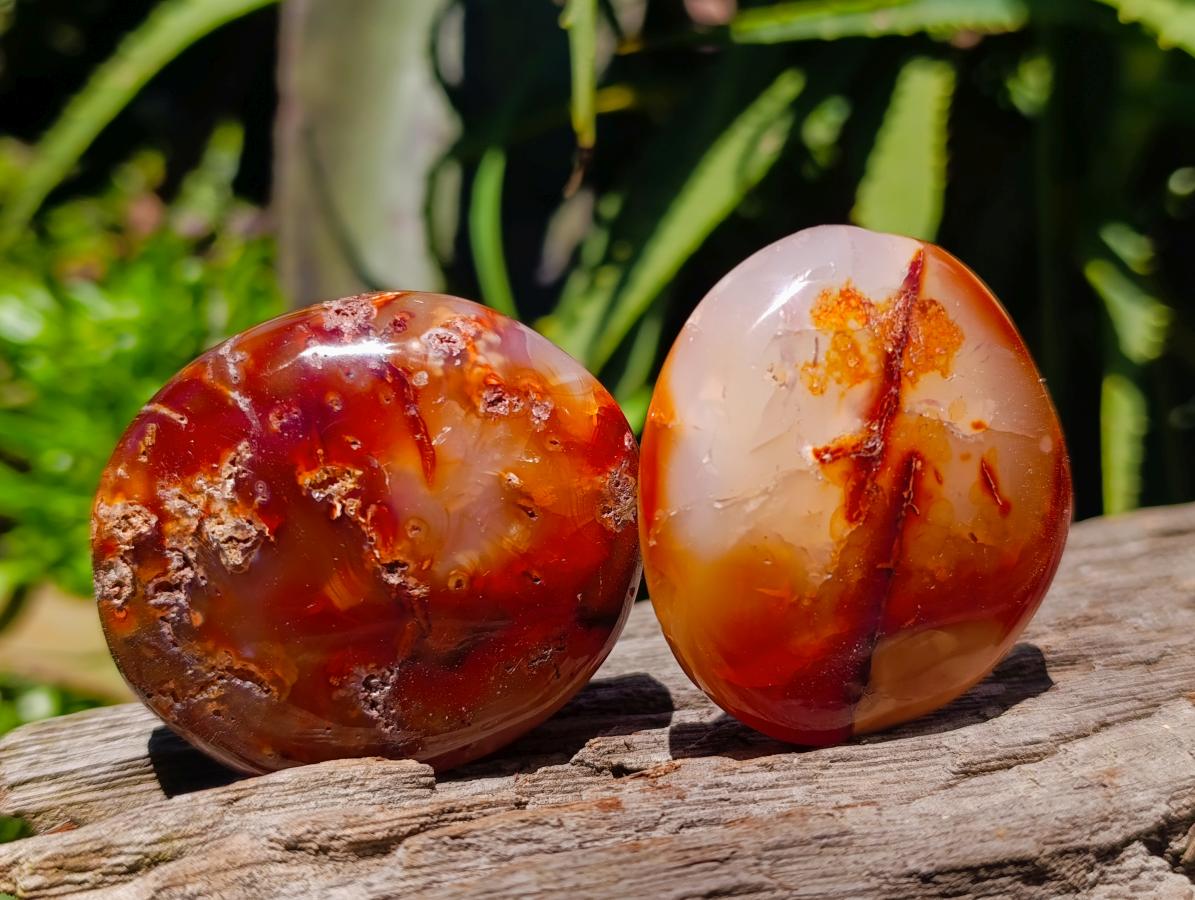 Polished Carnelian Agate Gemstone Galets x 12 From Madagascar