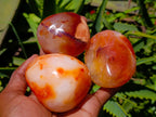 Polished Carnelian Agate Gemstone Galets x 12 From Madagascar