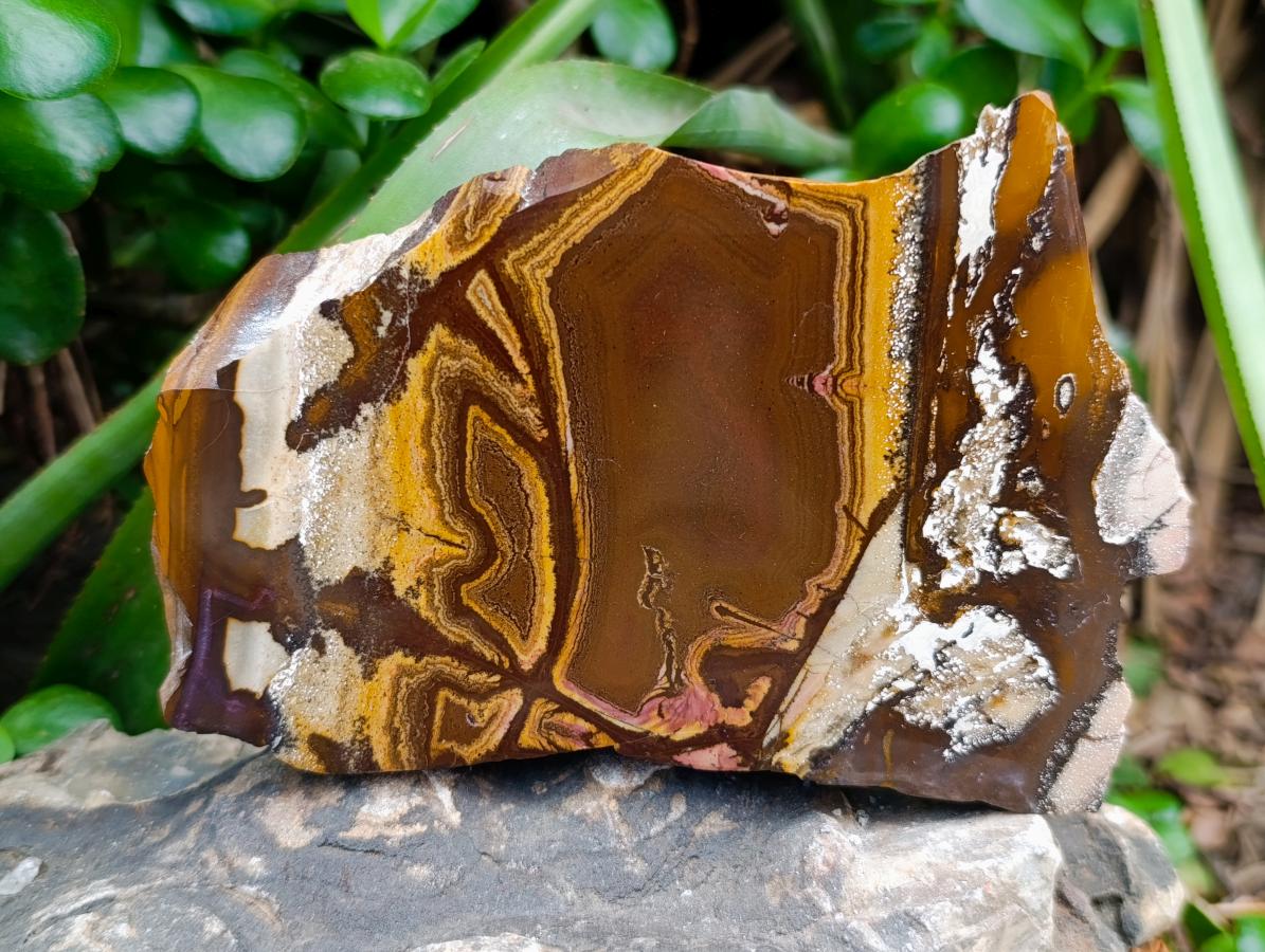 Polished Nguni Jasper Slices x 2 From Northern Cape, South Africa