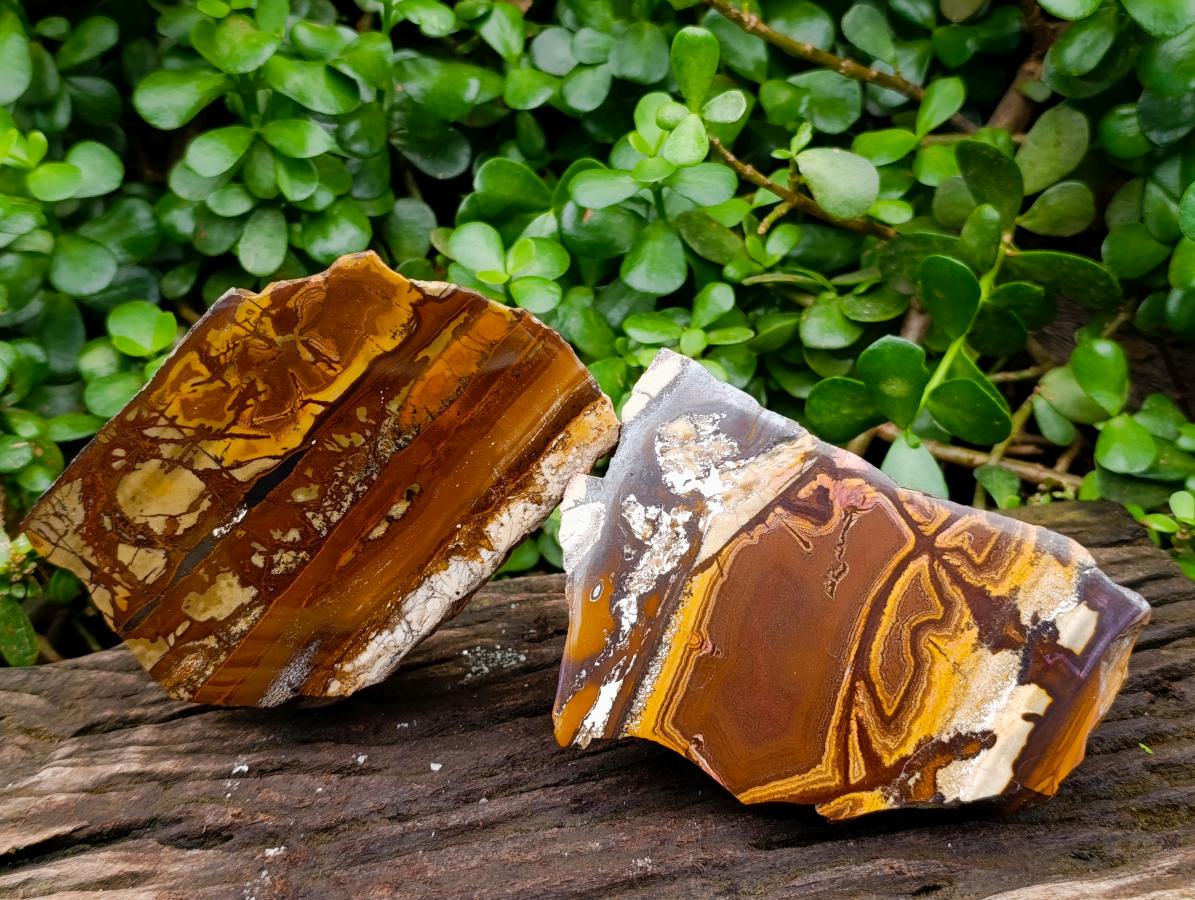 Polished Nguni Jasper Slices x 2 From Northern Cape, South Africa