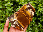Polished Nguni Jasper Slices x 2 From Northern Cape, South Africa