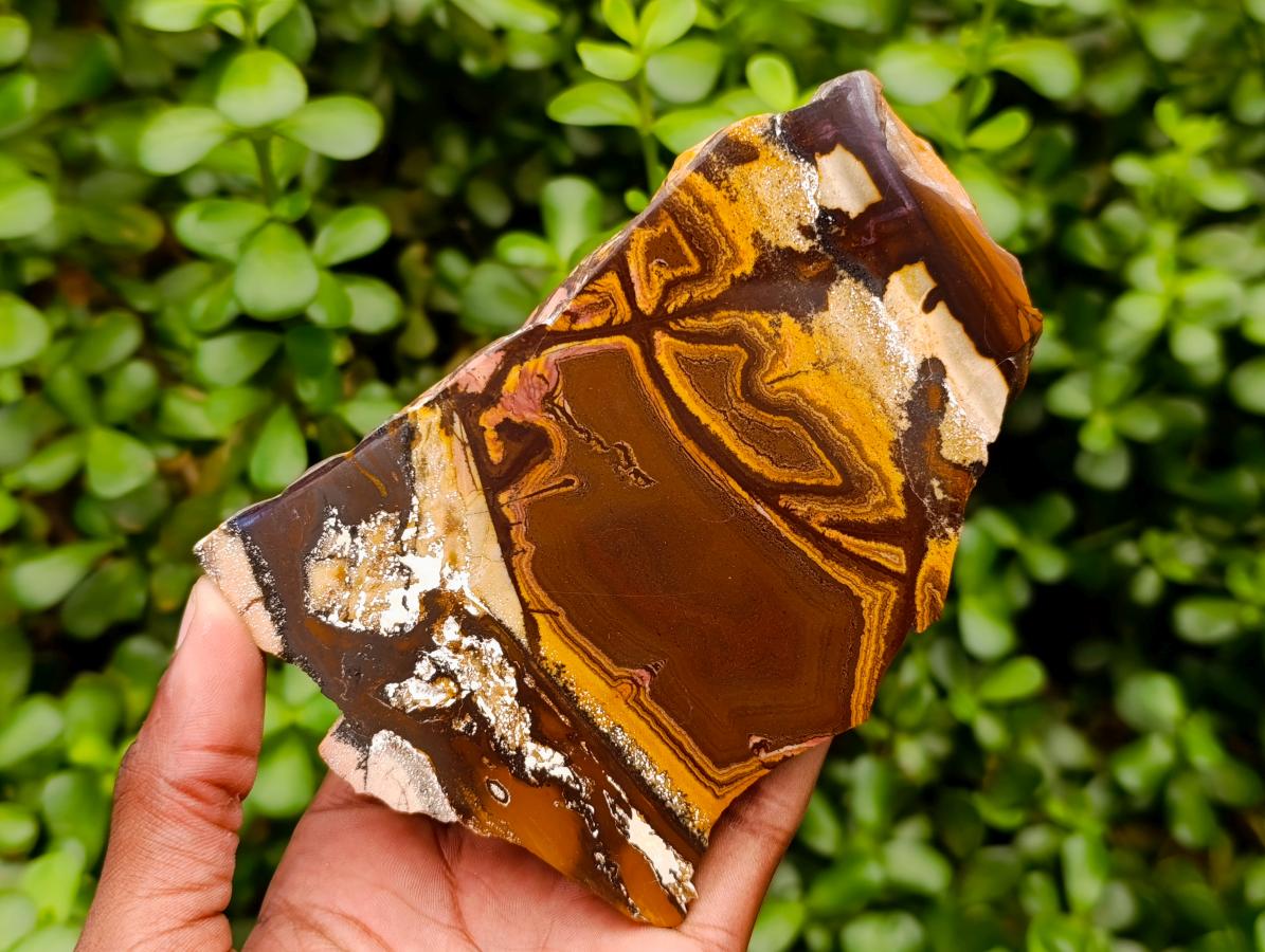 Polished Nguni Jasper Slices x 2 From Northern Cape, South Africa