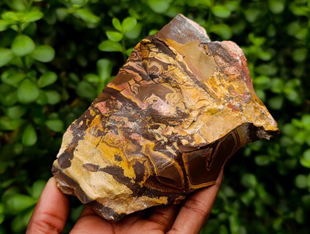 Polished Nguni Jasper Slices x 2 From Northern Cape, South Africa