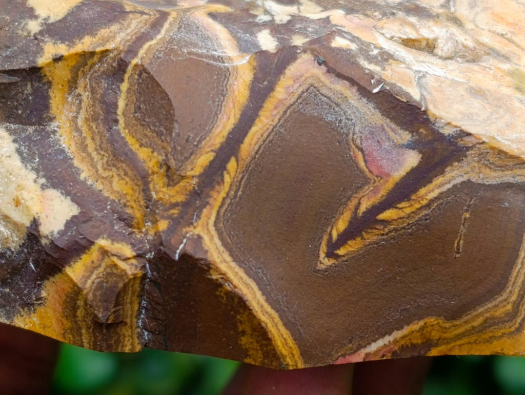 Polished Nguni Jasper Slices x 2 From Northern Cape, South Africa