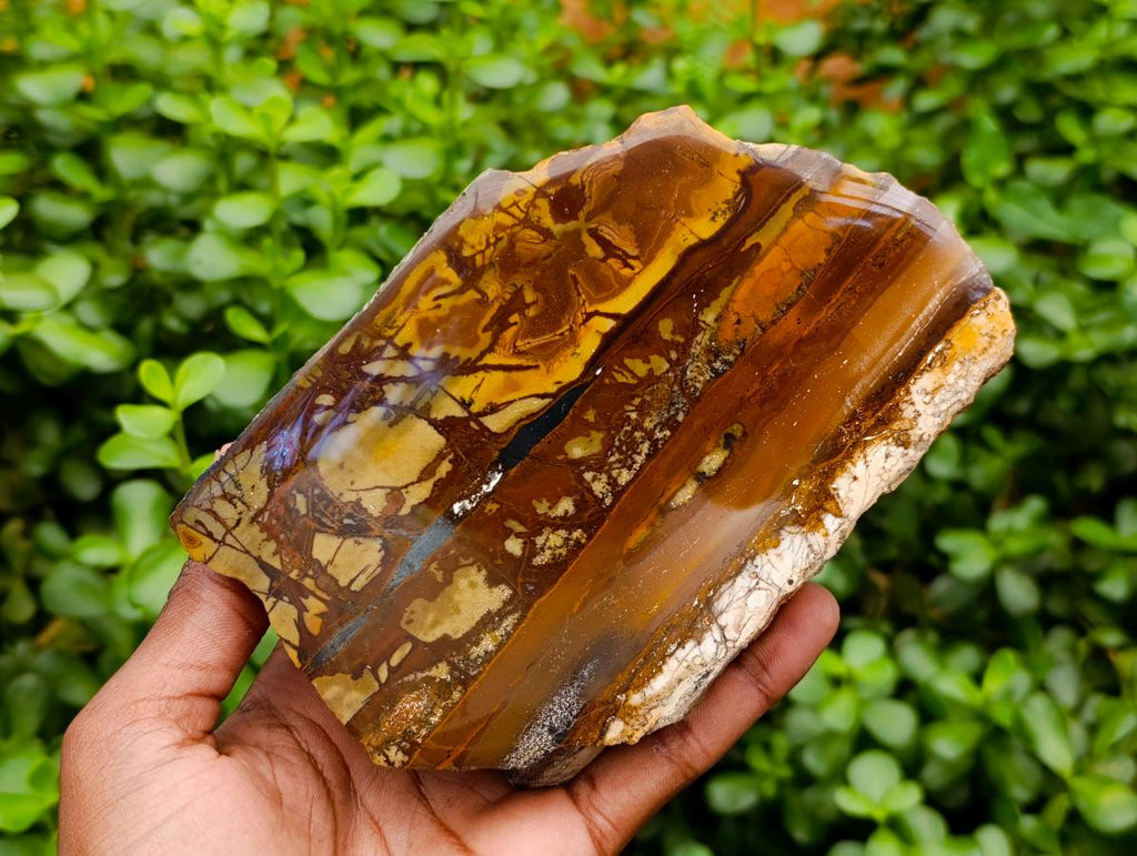 Polished Nguni Jasper Slices x 2 From Northern Cape, South Africa