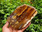Polished Nguni Jasper Slices x 2 From Northern Cape, South Africa