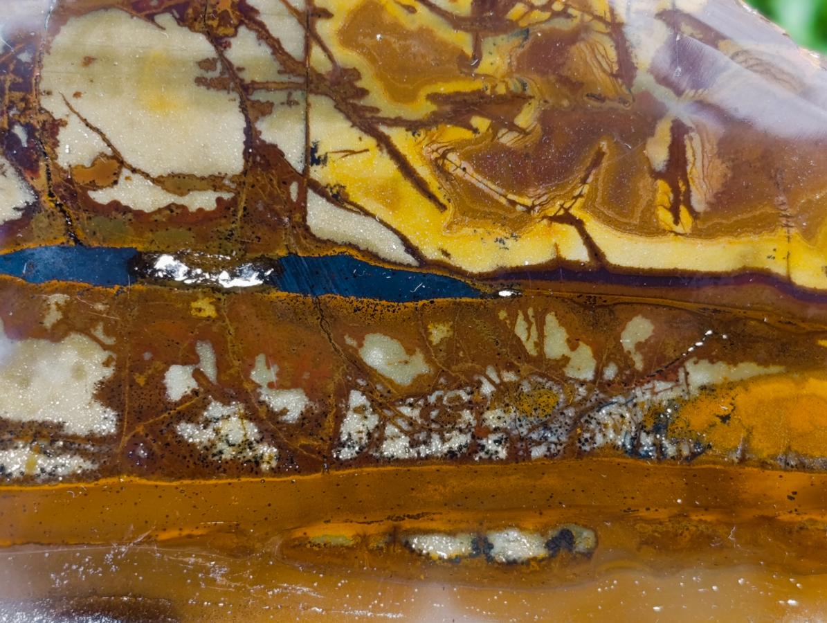 Polished Nguni Jasper Slices x 2 From Northern Cape, South Africa