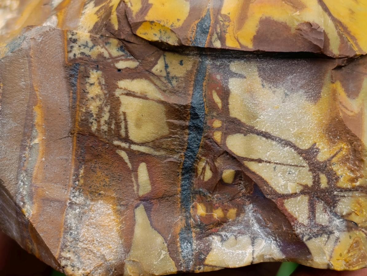 Polished Nguni Jasper Slices x 2 From Northern Cape, South Africa