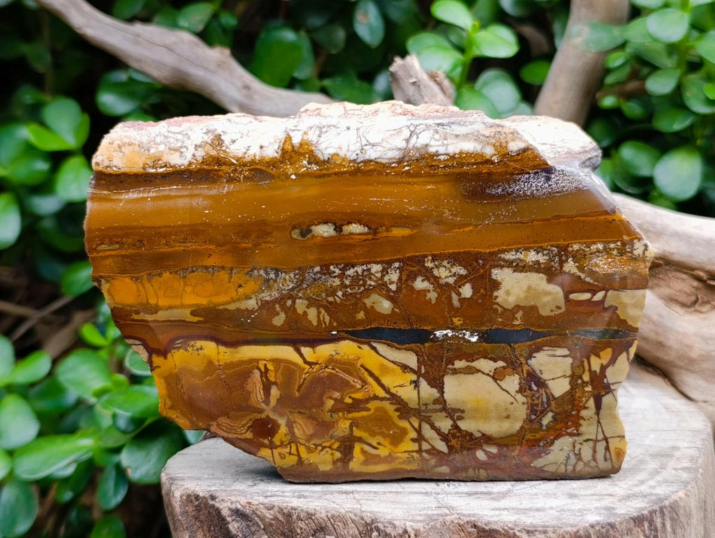 Polished Nguni Jasper Slices x 2 From Northern Cape, South Africa